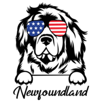 Newfie American Sticker