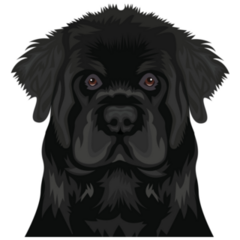 Newfie Illustration Sticker
