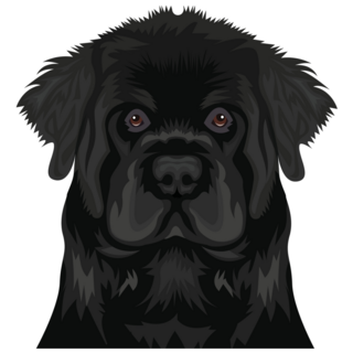 Newfie Illustration Sticker