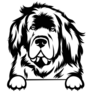Newfie Peeking Sticker