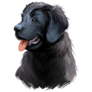 Newfie Puppy Sticker