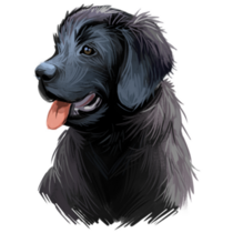 Newfie Puppy Sticker