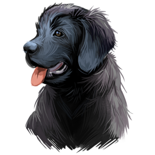 Newfie Puppy Sticker