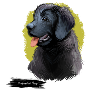 Newfie Purebred Sticker