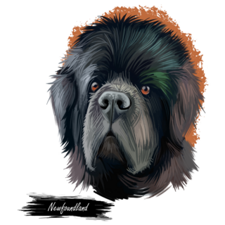 Newfoundland Art Sticker