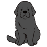 Newfoundland Cartoon Sticker