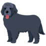 Newfoundland Cartoon Sticker