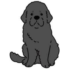 Newfoundland Cartoon Sticker