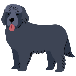 Newfoundland Cartoon Sticker