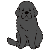 Newfoundland Cartoon Sticker