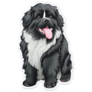 Newfoundland Dog Sticker