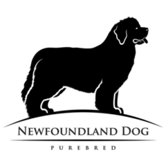 Newfoundland Dog Sticker
