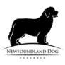 Newfoundland Dog Sticker