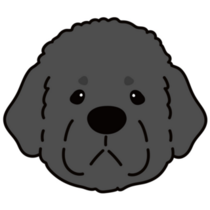 Newfoundland Face Sticker