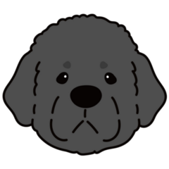 Newfoundland Face Sticker