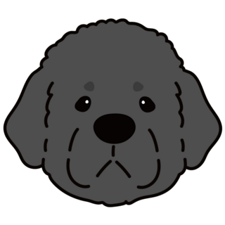 Newfoundland Face Sticker