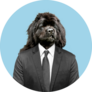 Newfoundland In Suit Sticker