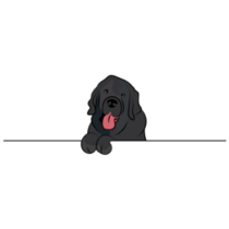 Newfoundland Line Sticker