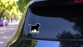 Newfoundland Outline Sticker on a Rear Car Window (New) example
