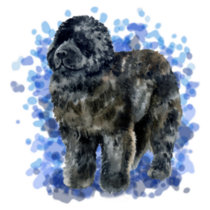 Newfoundland Painting Sticker