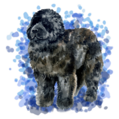 Newfoundland Painting Sticker