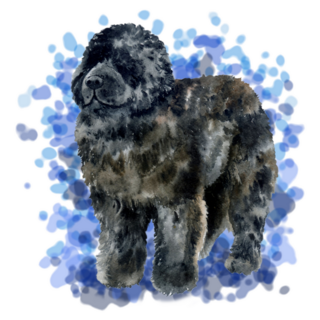 Newfoundland Painting Sticker