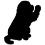 Newfoundland Paw Sticker