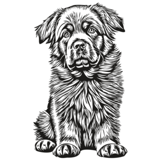 Newfoundland Pup Sticker
