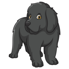 Newfoundland Puppy Sticker