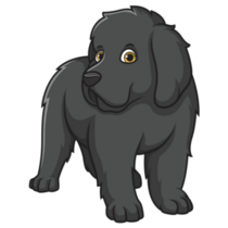 Newfoundland Puppy Sticker