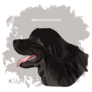 Newfoundland Sketch Sticker