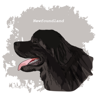 Newfoundland Sketch Sticker