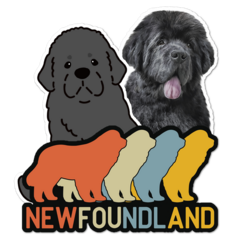 Newfoundland Thumbnail