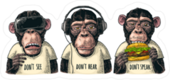 No Evil Monkey Sticker