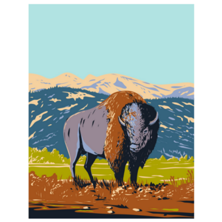 North American Bison Wyoming Sticker