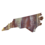 North Carolina State In Wood Texture Sticker