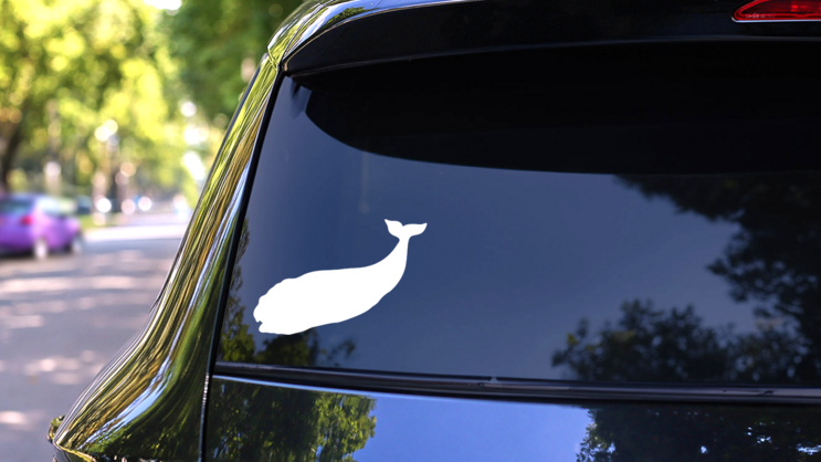 Northern Right Whale Sticker on a Rear Car Window (New) example