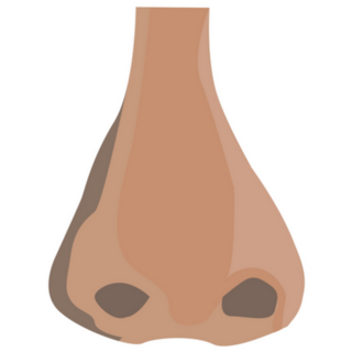 Nose Illustration Sticker