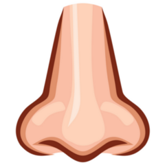 Nose Straight On Sticker 