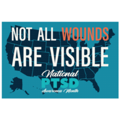 Not All Are Visible PTSD Awareness Month Sticker 
