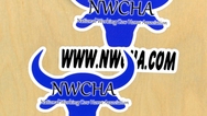NWCHA Custom Die Cut Stickers
