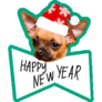 NYE Chihuahua Sticker
