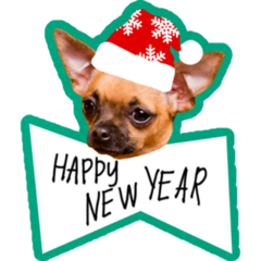 NYE Chihuahua Sticker