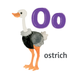 O Is For Ostrich Sticker