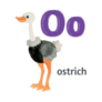 O Is For Ostrich Sticker