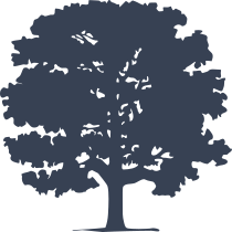 Oak Tree Sticker