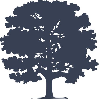 Oak Tree Sticker