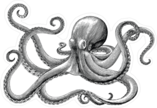 Octopus Hand Drawing Sticker