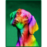 Oil Painting Rainbow Vizsla Sticker