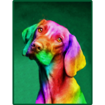 Oil Painting Rainbow Vizsla Sticker